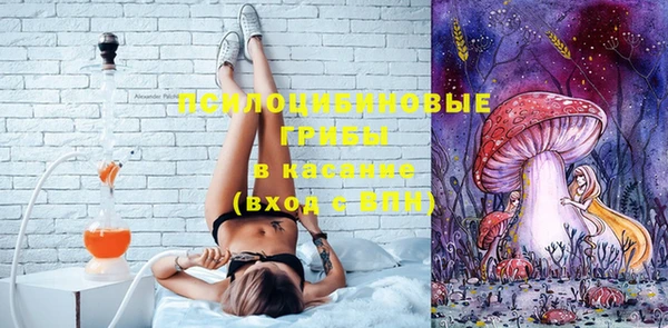 прущая мука Армянск